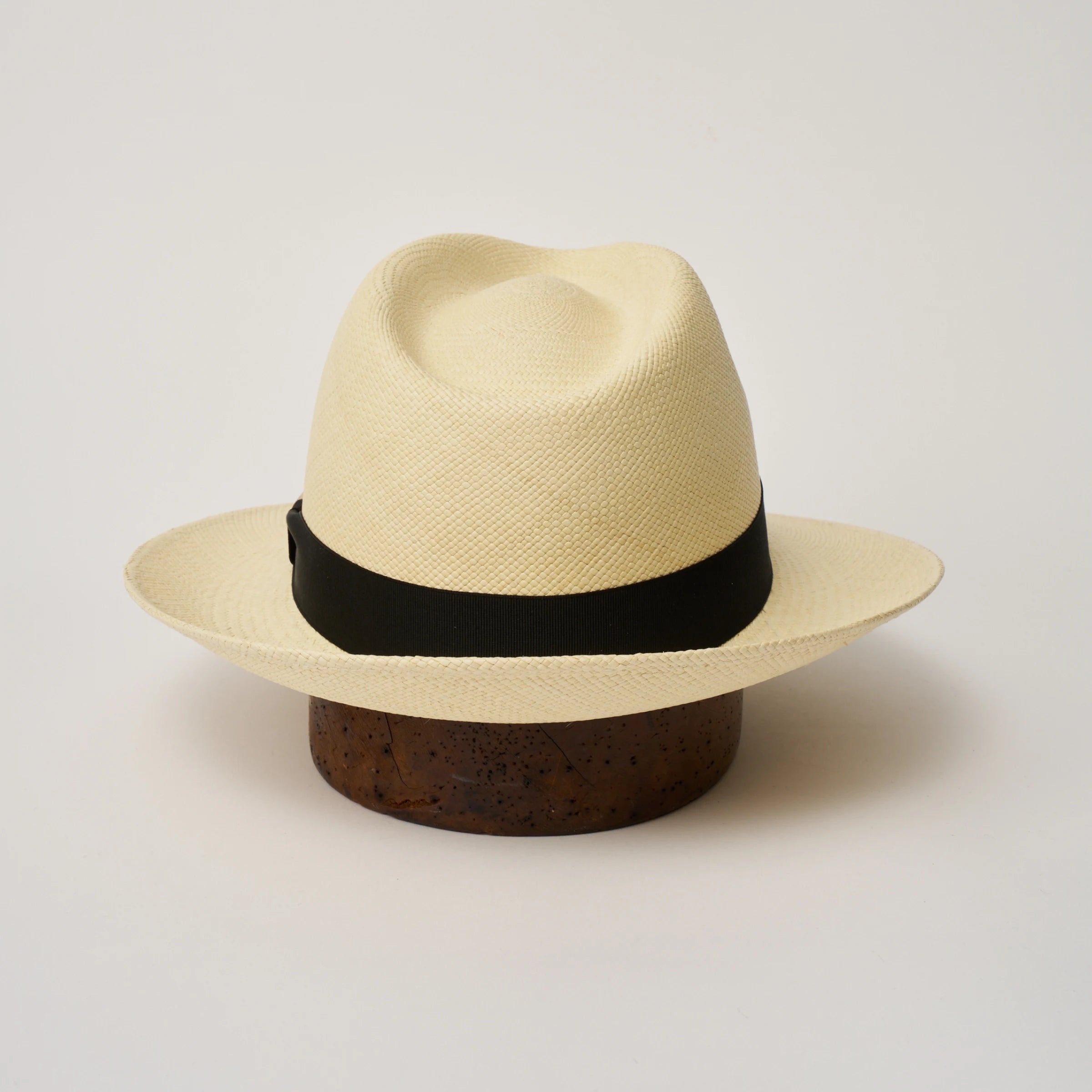 Studio image of the Camilo New Fedora Natural coloured Panama Hat with Black trim shown from the back, showing snapback brim.